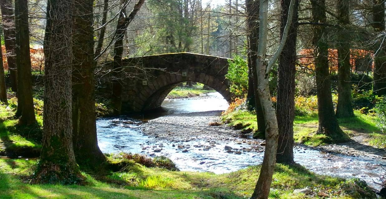 Brook Lodge Hotel 13