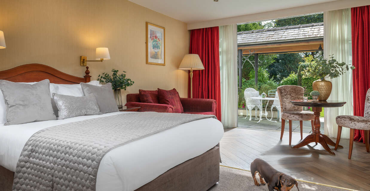 The Ardilaun Hotel Pet Friendly Room