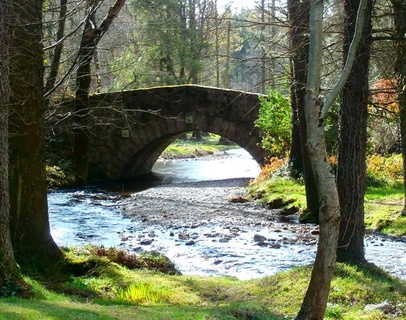 Brook Lodge Hotel 13