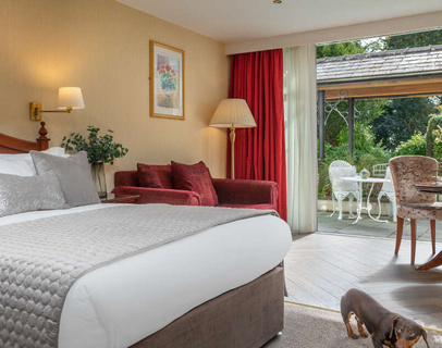 The Ardilaun Hotel Pet Friendly Room