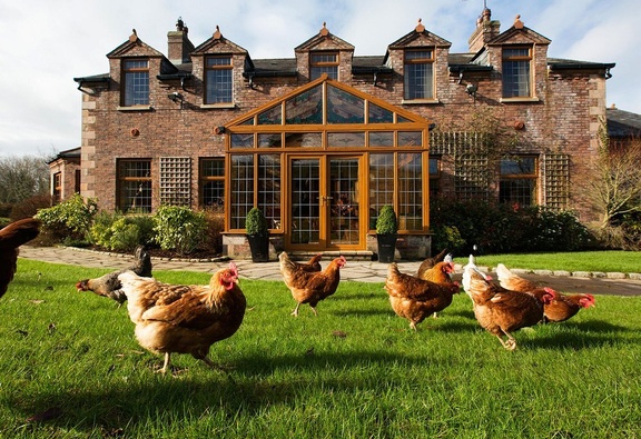 Blackwellwithchickens