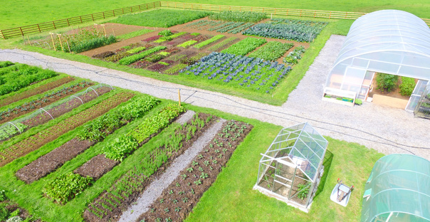 Fitzgeralds Woodlands House Hotel Organic Garden