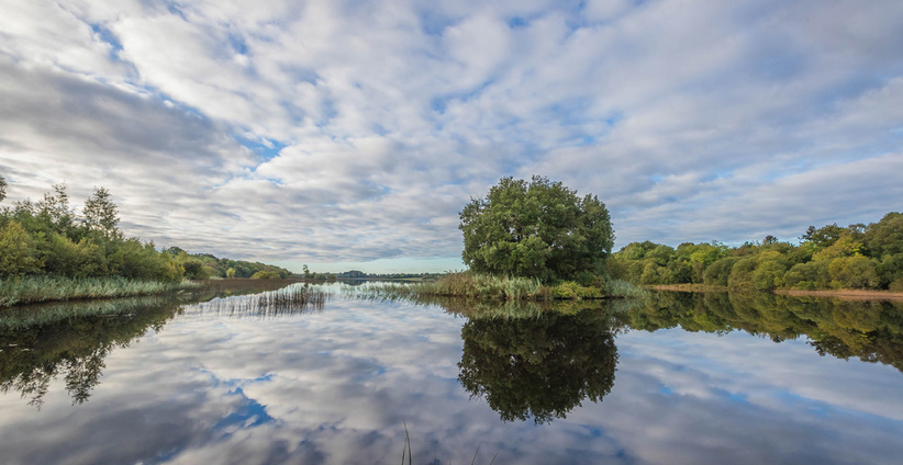 Lough Rynn 6