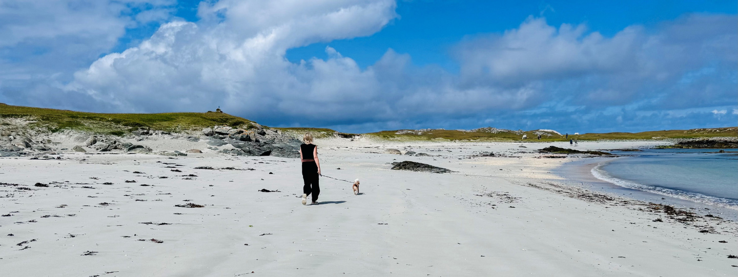 Connemara Sands Hotel Dog on Beach