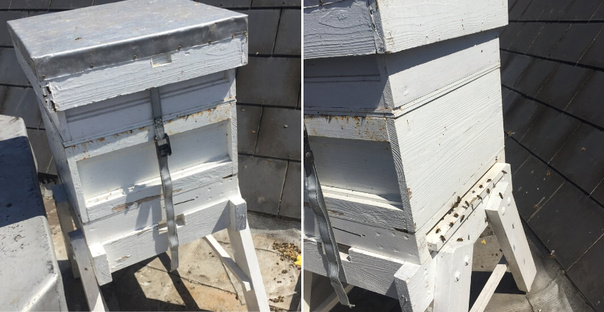 Buswells Hotel Beehive