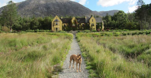 Lough Inagh Pet Friendly