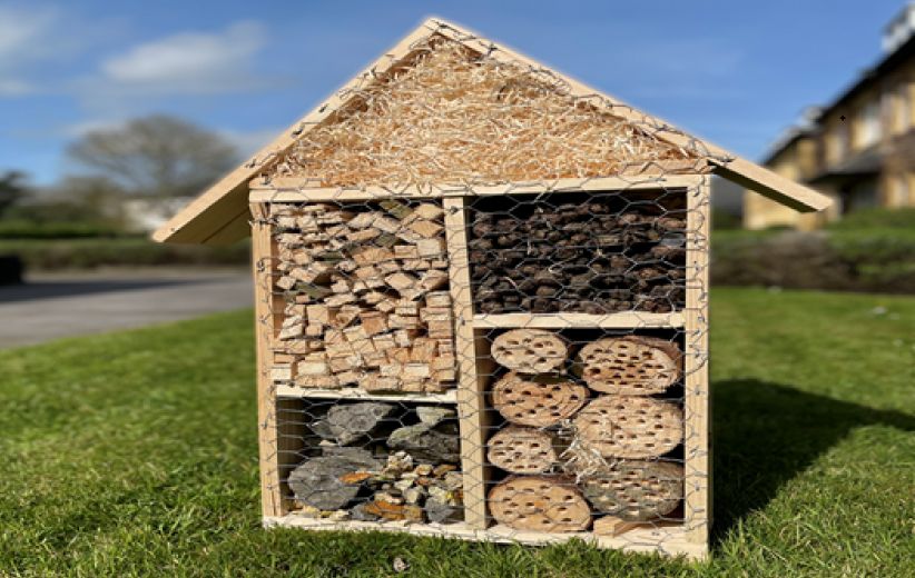 The Dunraven Adare sustainable Insect Hotel